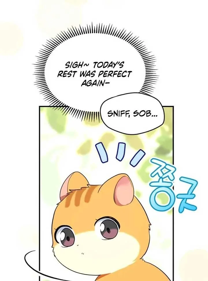 I Became A Squirrel Saving The Villain Chapter 12 page 10