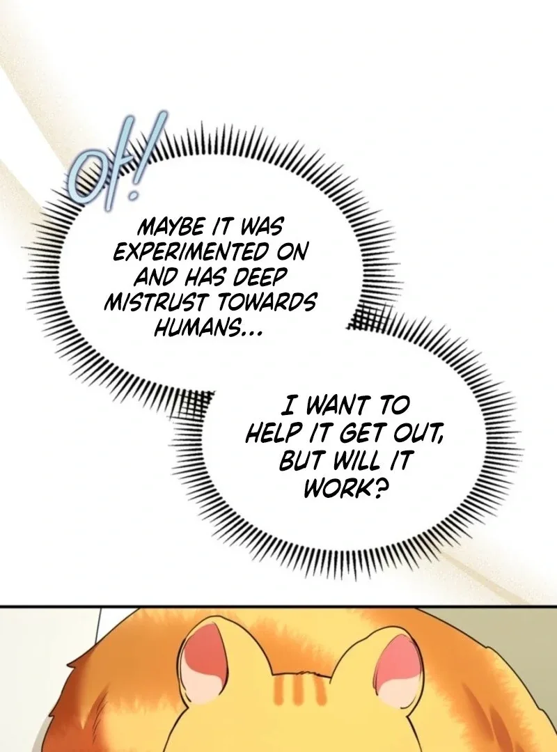 I Became A Squirrel Saving The Villain Chapter 48 page 36