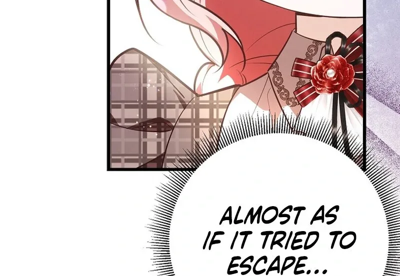 I Became the Adopted Daughter of the Sea Guardian Chapter 40 page 47