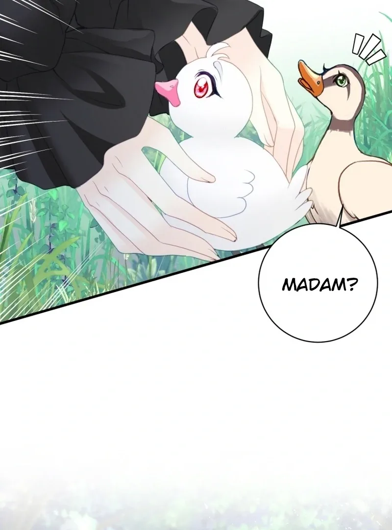 I Became The Black Swan Mother of The White Swan Princess Chapter 4 page 29