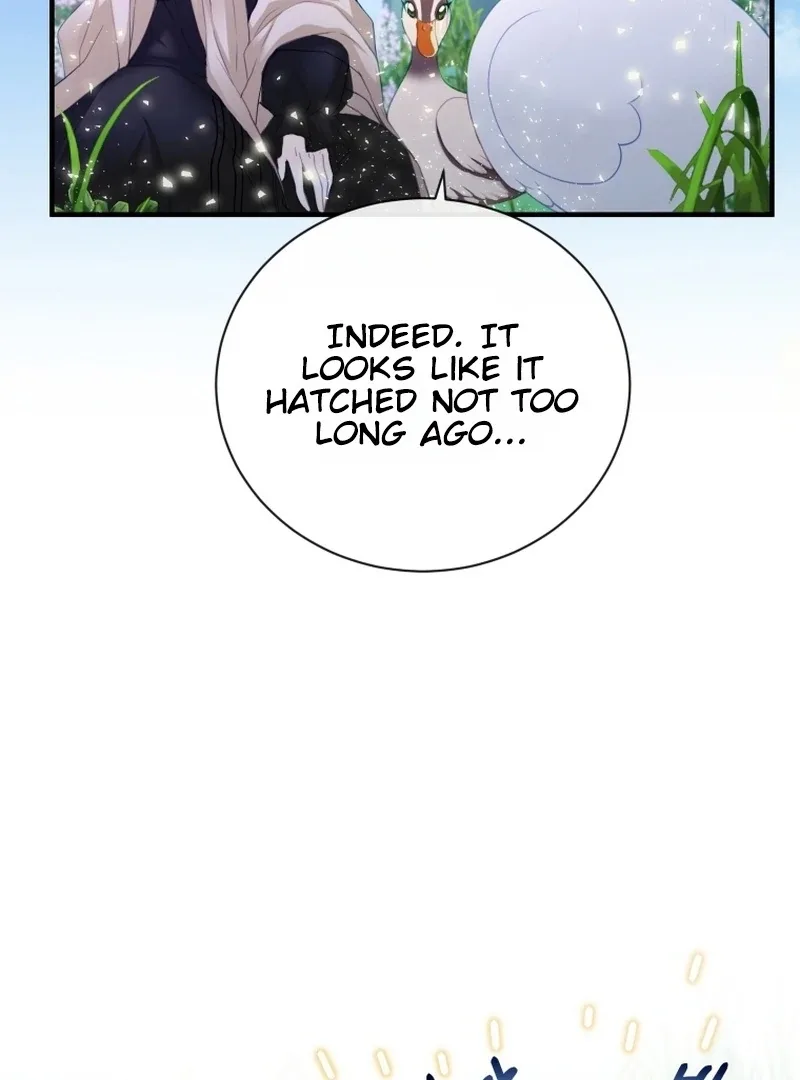 I Became The Black Swan Mother of The White Swan Princess Chapter 4 page 5