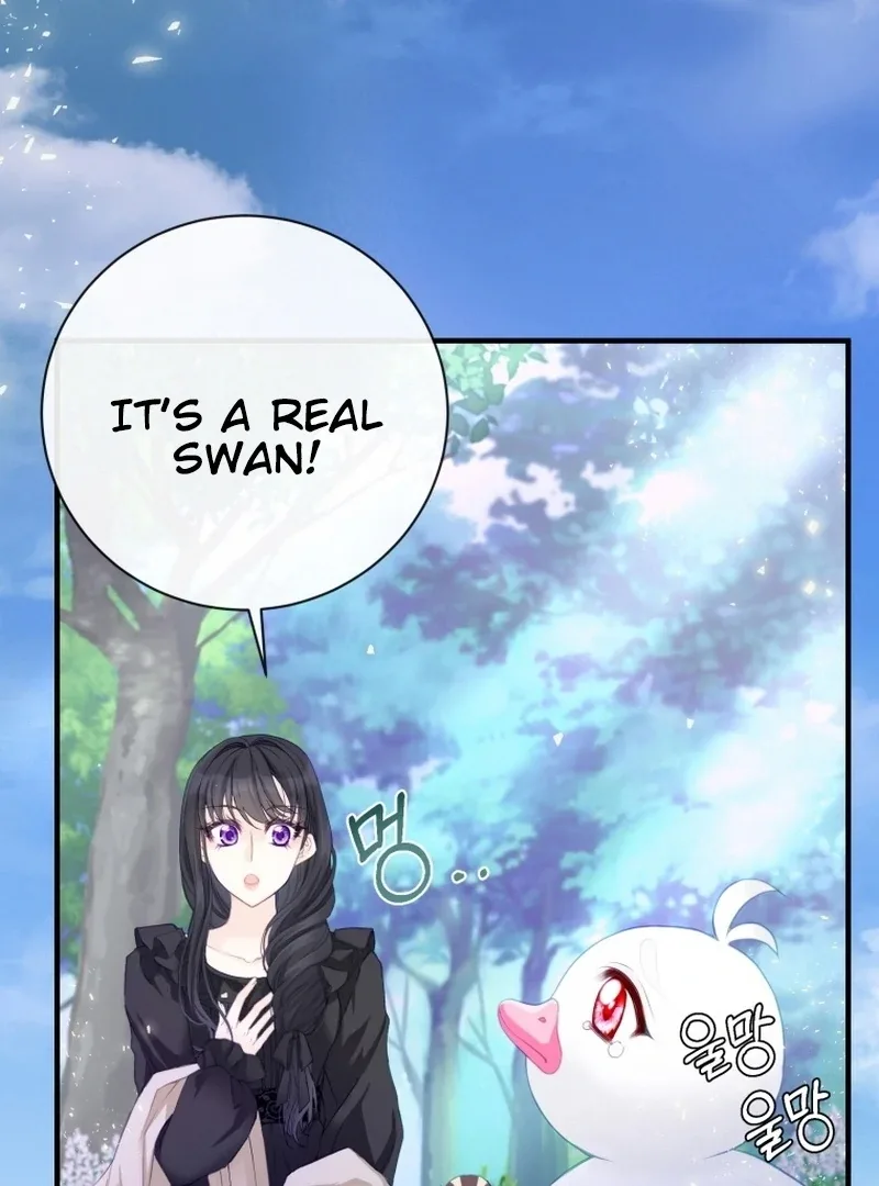 I Became The Black Swan Mother of The White Swan Princess Chapter 4 page 4