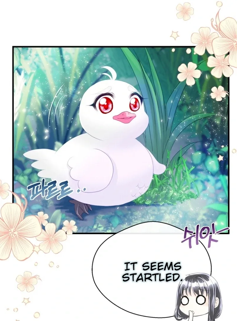 I Became The Black Swan Mother of The White Swan Princess Chapter 4 page 8