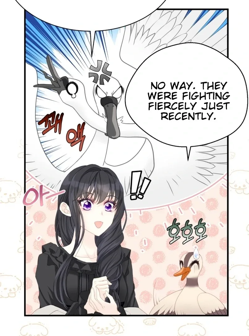 I Became The Black Swan Mother of The White Swan Princess Chapter 4 page 10