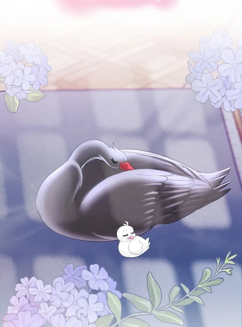 I Became The Black Swan Mother of The White Swan Princess Chapter 4 page 73