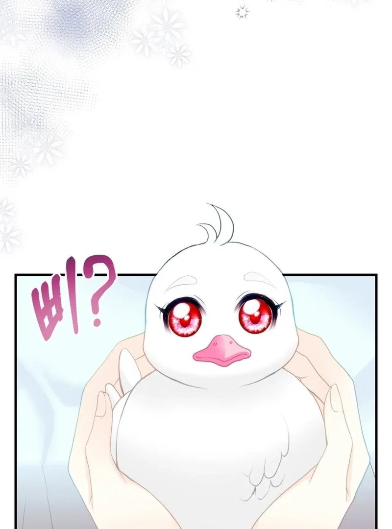 I Became The Black Swan Mother of The White Swan Princess Chapter 4 page 58