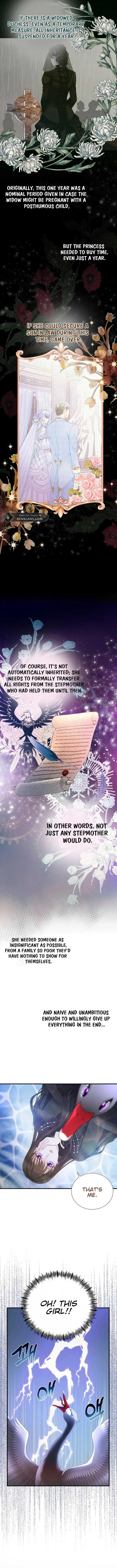 I Became The Black Swan Mother of The White Swan Princess Chapter 3 page 5