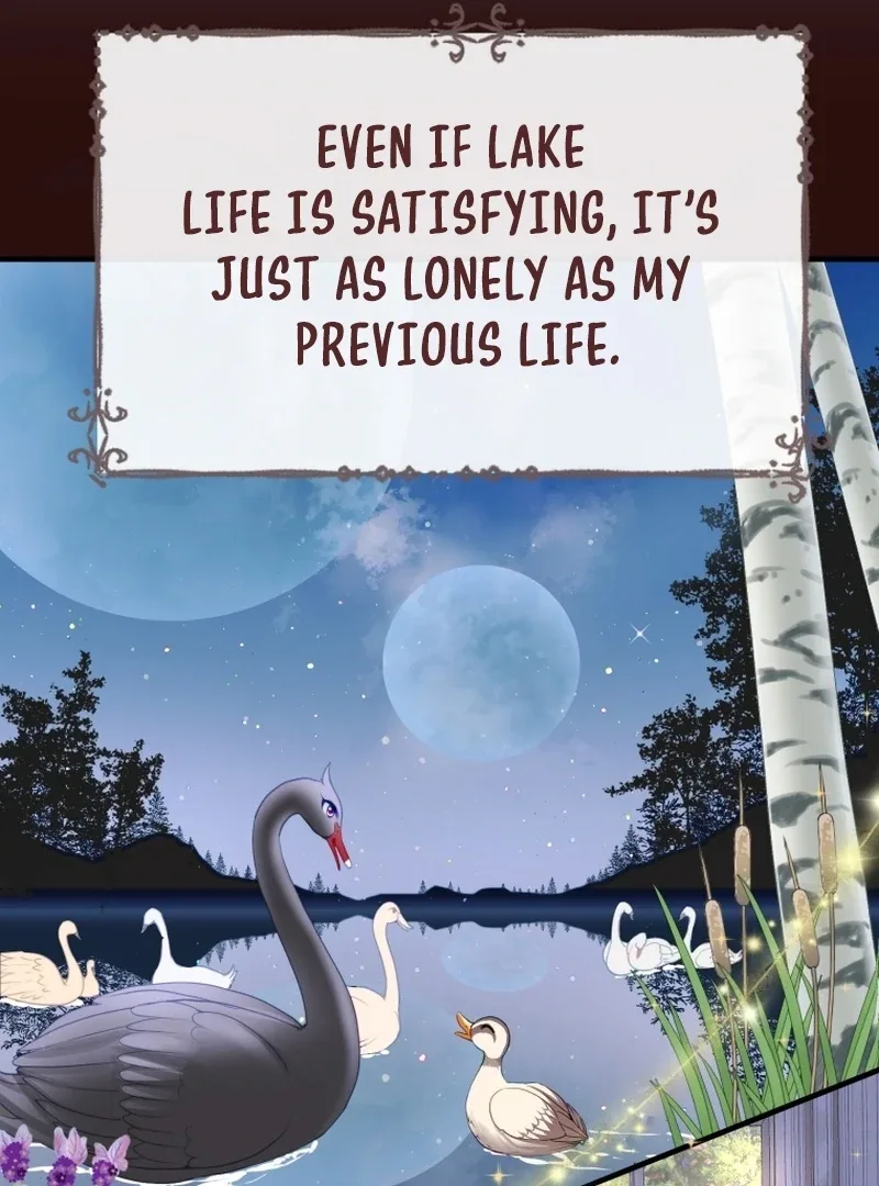 I Became The Black Swan Mother of The White Swan Princess Chapter 4 page 61