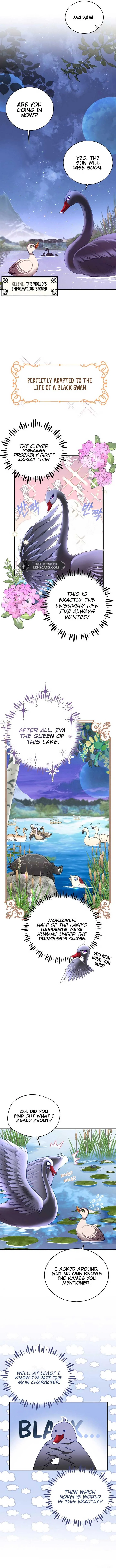 I Became The Black Swan Mother of The White Swan Princess Chapter 3 page 8
