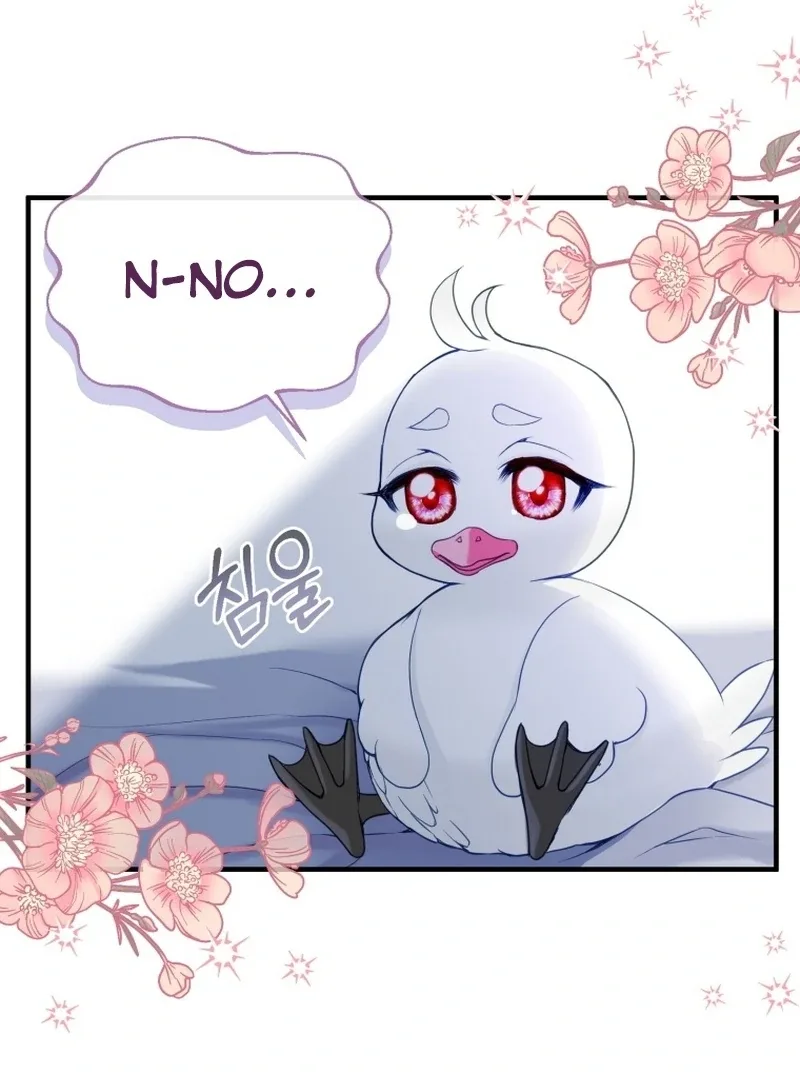 I Became The Black Swan Mother of The White Swan Princess Chapter 5 page 9