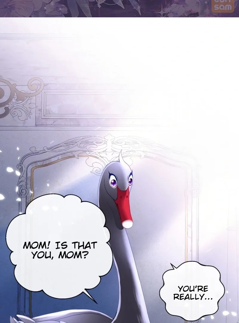 I Became The Black Swan Mother of The White Swan Princess Chapter 5 page 3