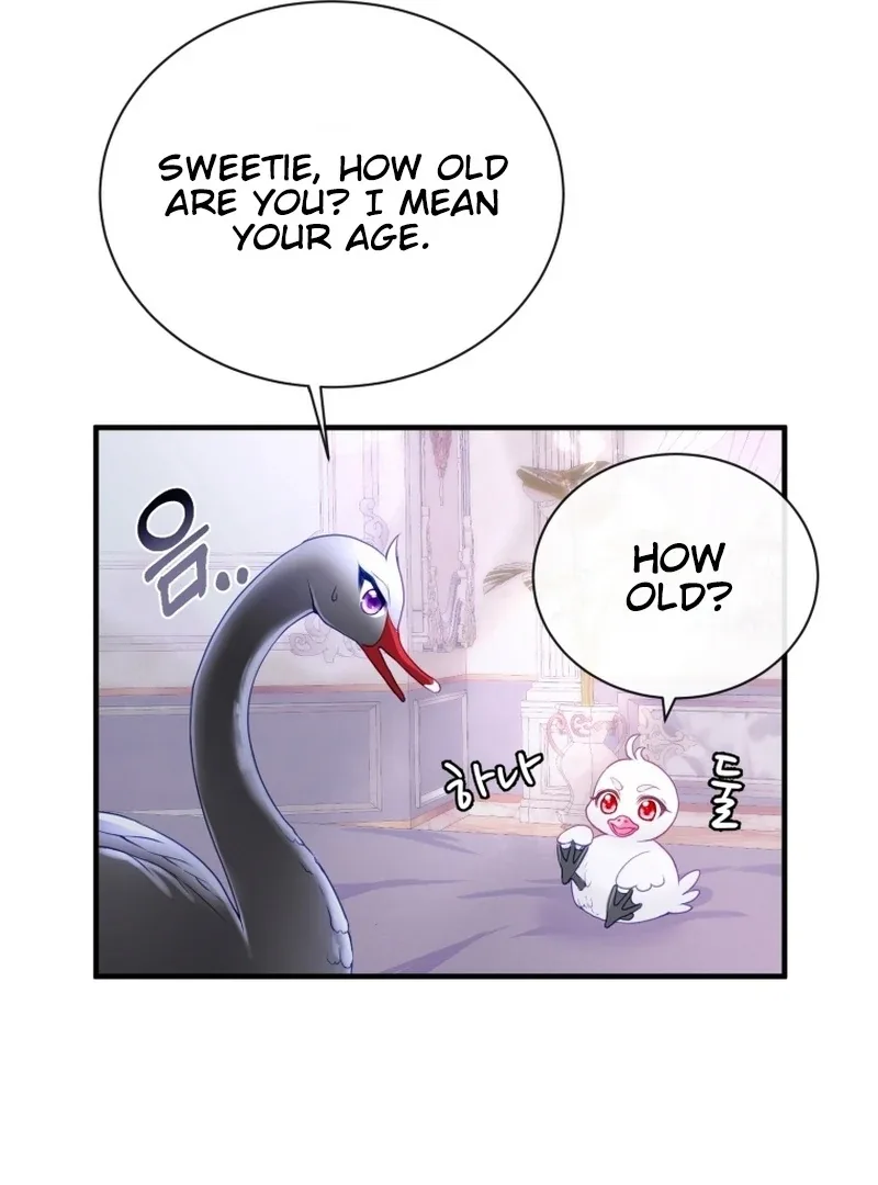 I Became The Black Swan Mother of The White Swan Princess Chapter 5 page 14