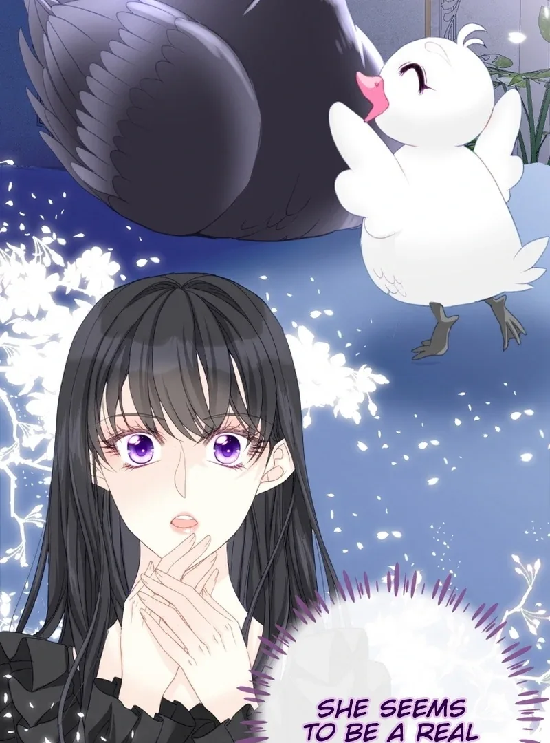 I Became The Black Swan Mother of The White Swan Princess Chapter 5 page 4