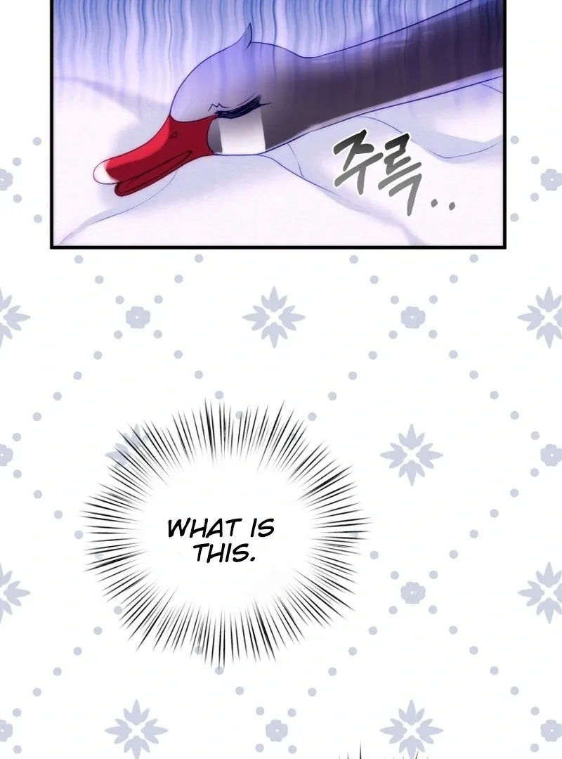 I Became The Black Swan Mother of The White Swan Princess Chapter 5 page 17
