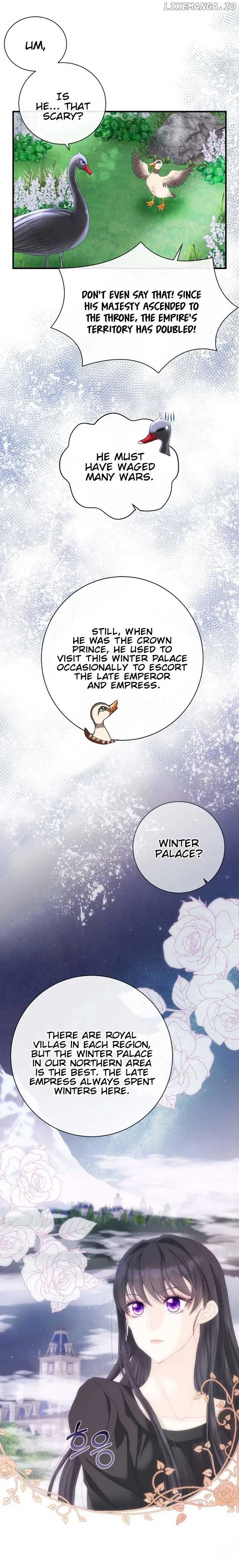 I Became The Black Swan Mother of The White Swan Princess Chapter 6 page 8