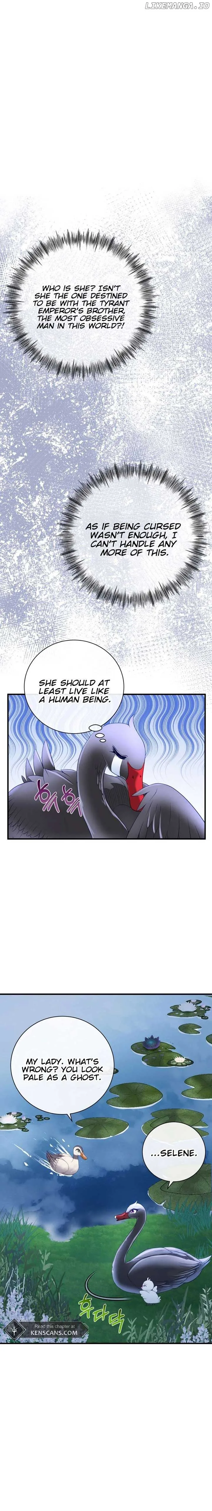 I Became The Black Swan Mother of The White Swan Princess Chapter 6 page 4