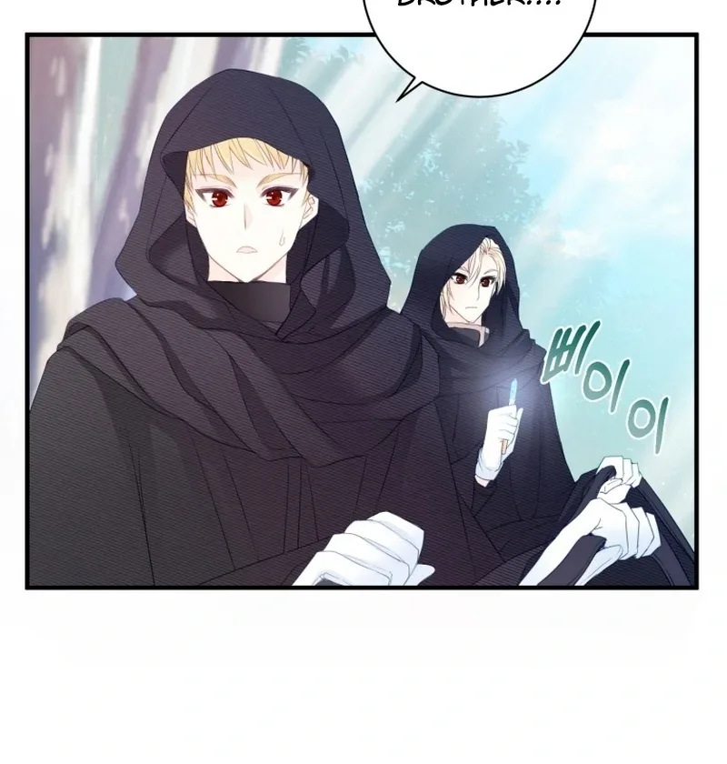 I Became The Black Swan Mother of The White Swan Princess Chapter 8 page 29