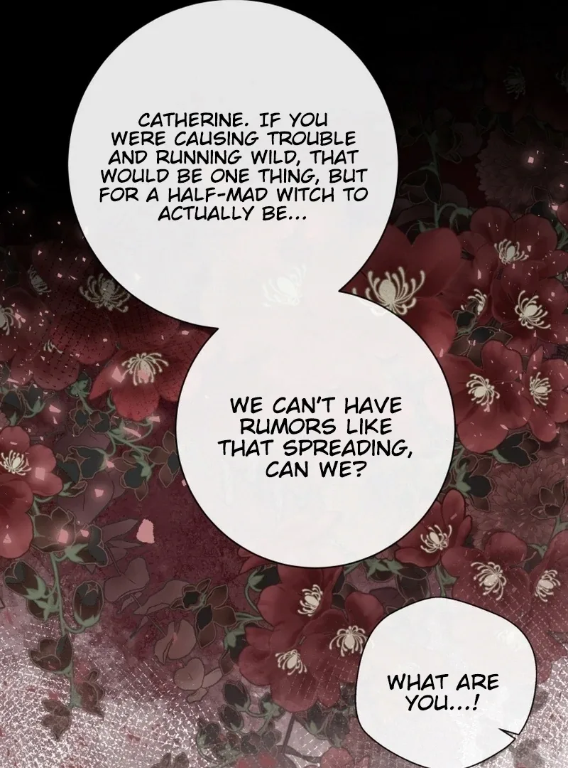 I Became The Black Swan Mother of The White Swan Princess Chapter 10 page 66