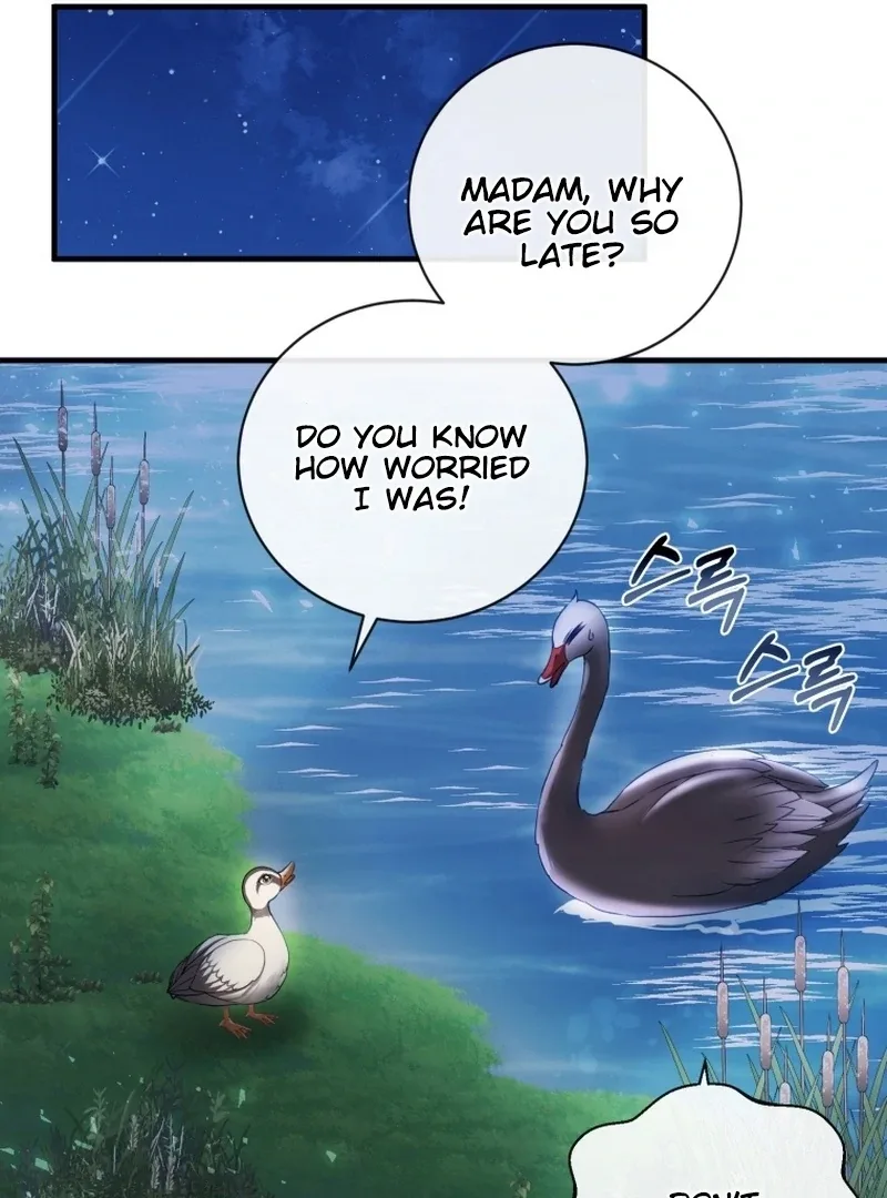 I Became The Black Swan Mother of The White Swan Princess Chapter 9 page 72