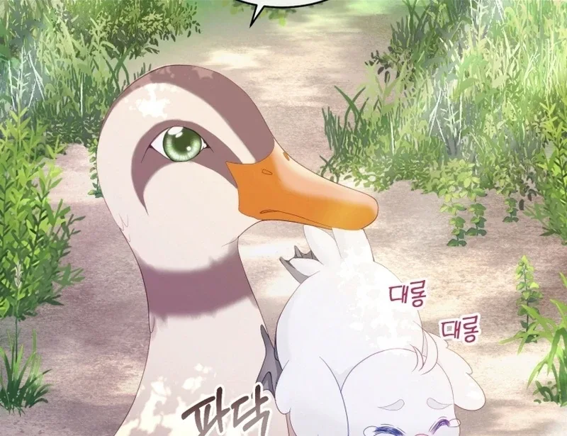 I Became The Black Swan Mother of The White Swan Princess Chapter 12 page 29