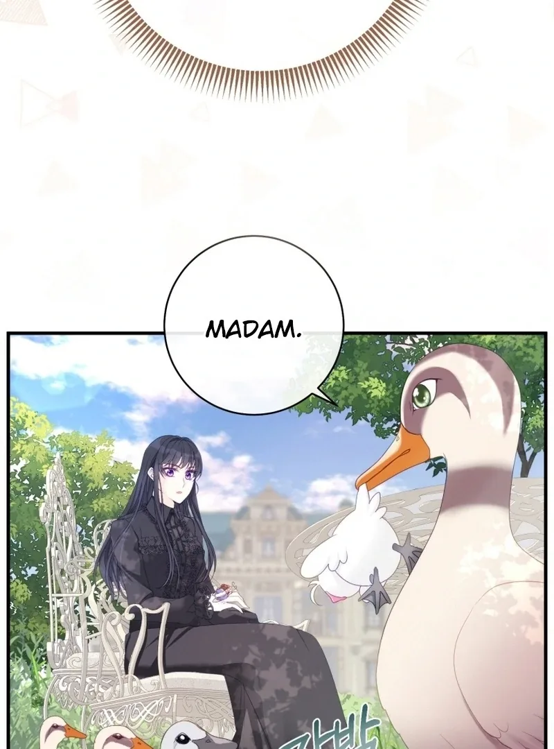 I Became The Black Swan Mother of The White Swan Princess Chapter 12 page 27