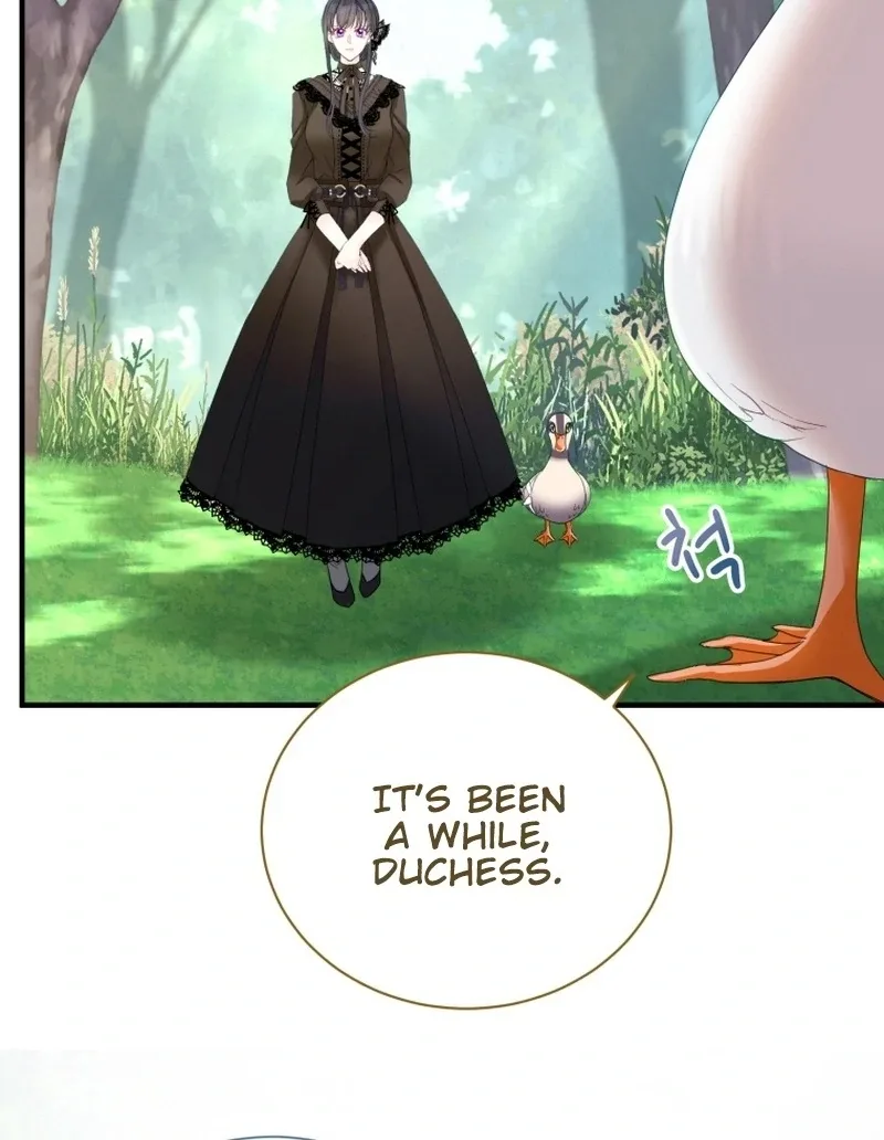 I Became The Black Swan Mother of The White Swan Princess Chapter 11 page 28