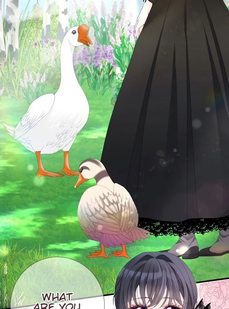 I Became The Black Swan Mother of The White Swan Princess Chapter 11 page 30