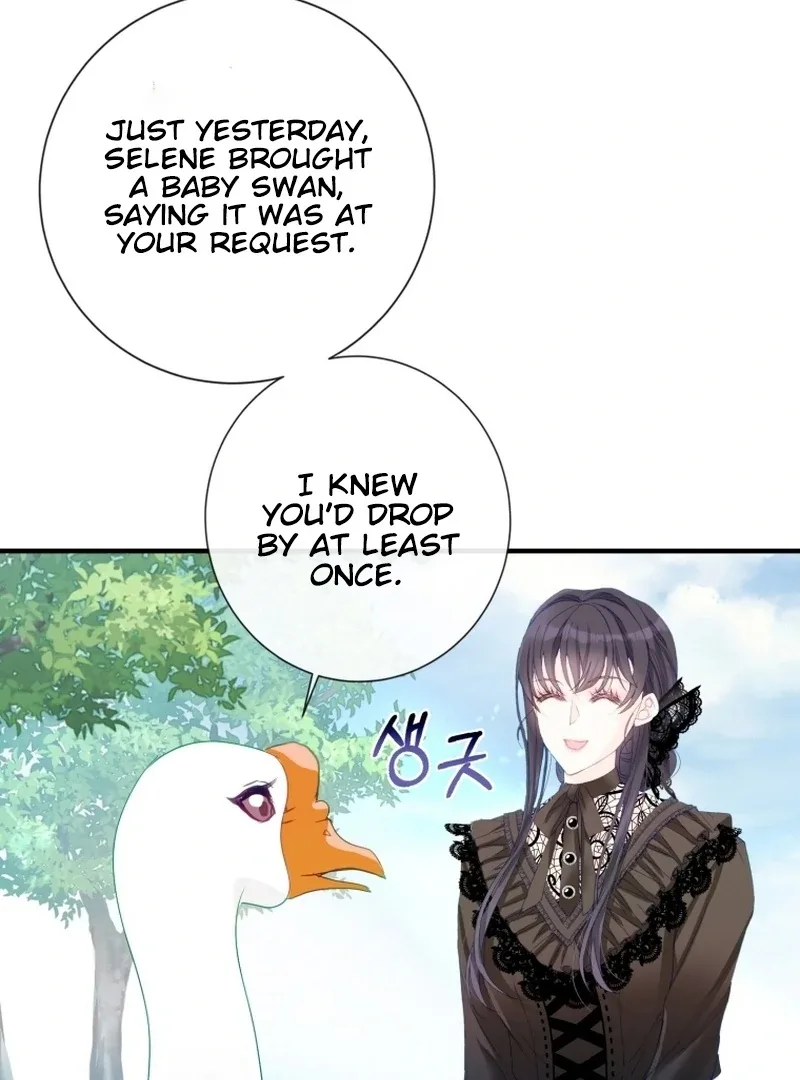 I Became The Black Swan Mother of The White Swan Princess Chapter 11 page 32