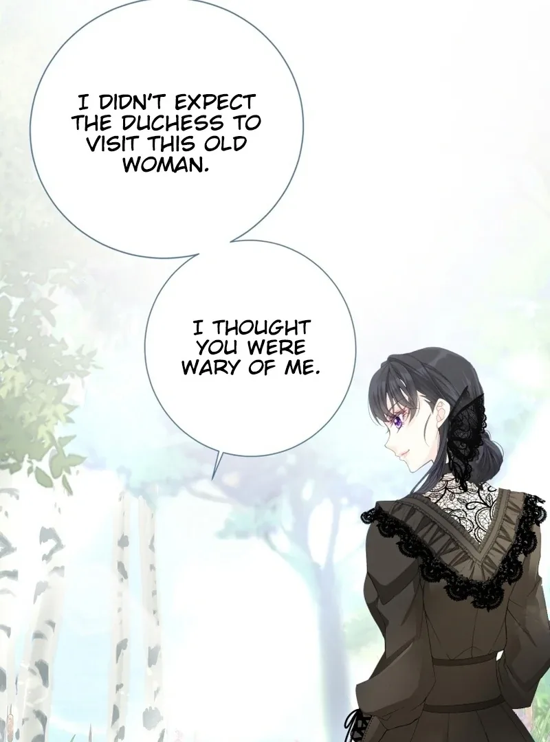 I Became The Black Swan Mother of The White Swan Princess Chapter 11 page 29