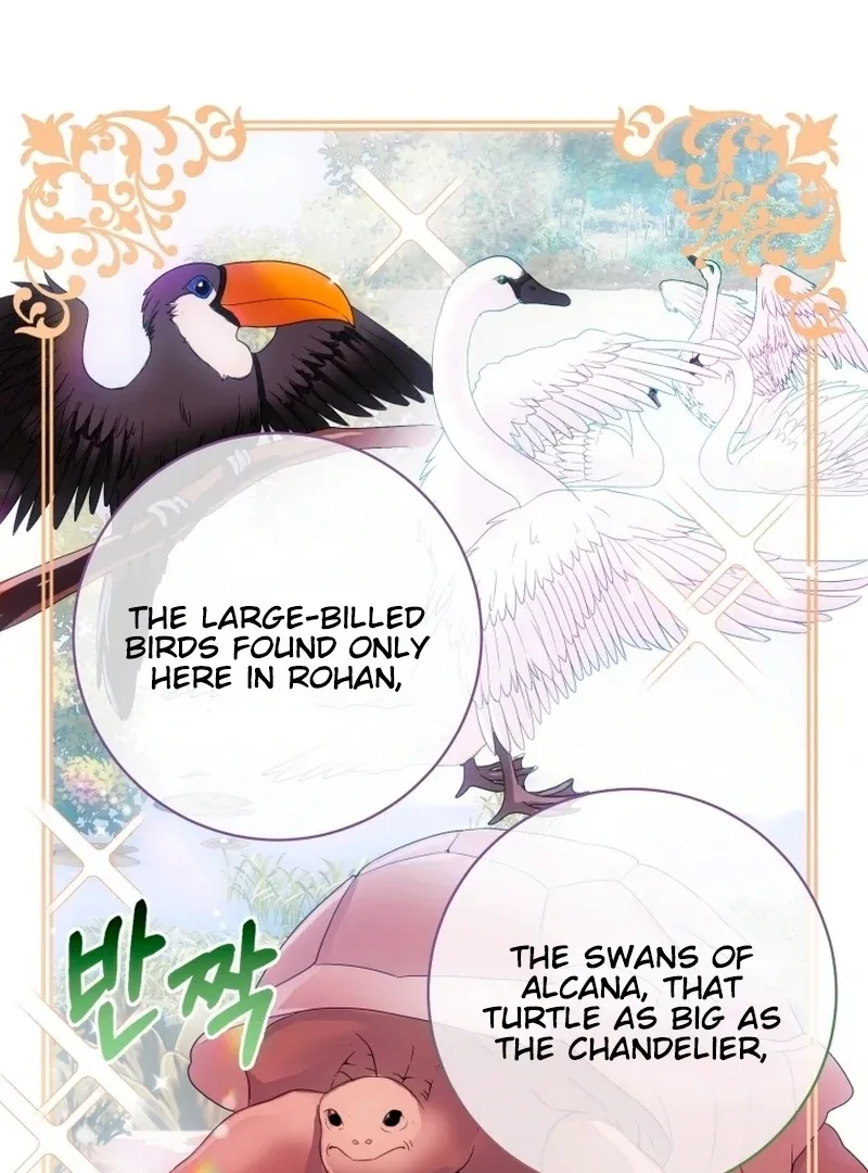 I Became The Black Swan Mother of The White Swan Princess Chapter 13 page 65