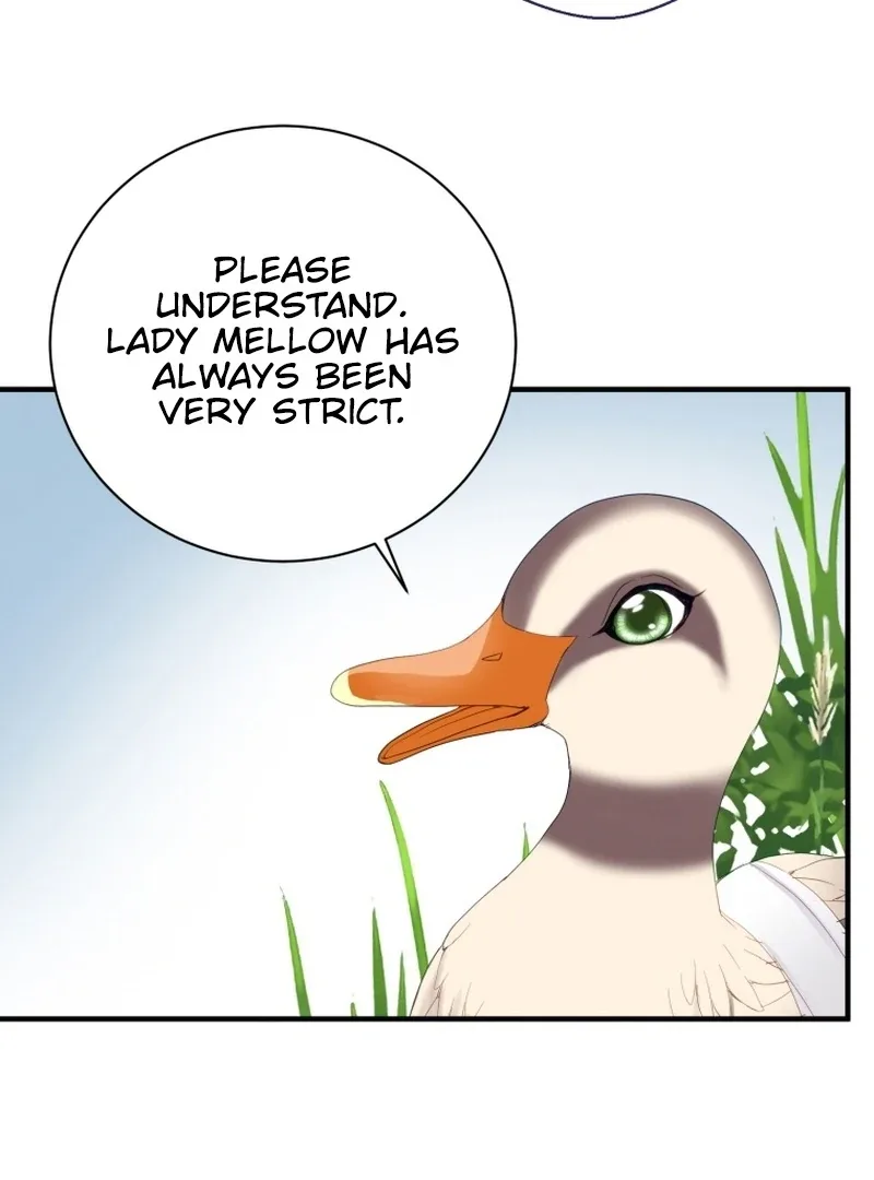 I Became The Black Swan Mother of The White Swan Princess Chapter 11 page 65