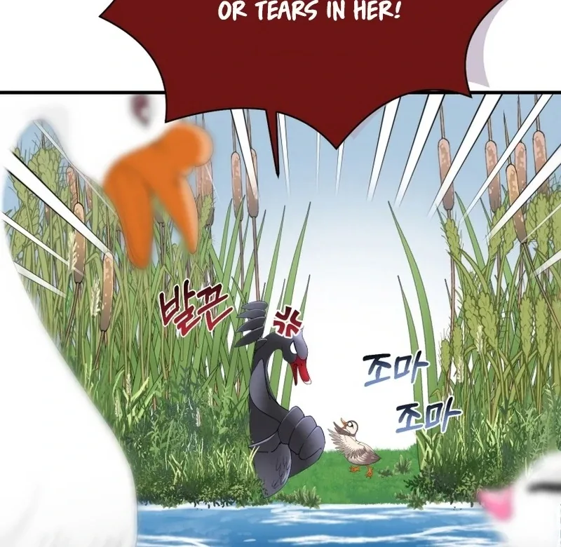I Became The Black Swan Mother of The White Swan Princess Chapter 11 page 62