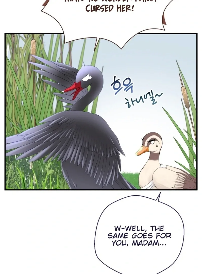 I Became The Black Swan Mother of The White Swan Princess Chapter 11 page 64