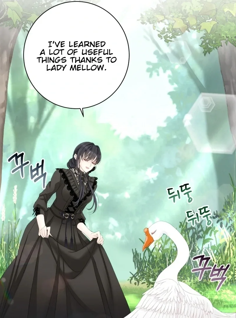 I Became The Black Swan Mother of The White Swan Princess Chapter 11 page 52