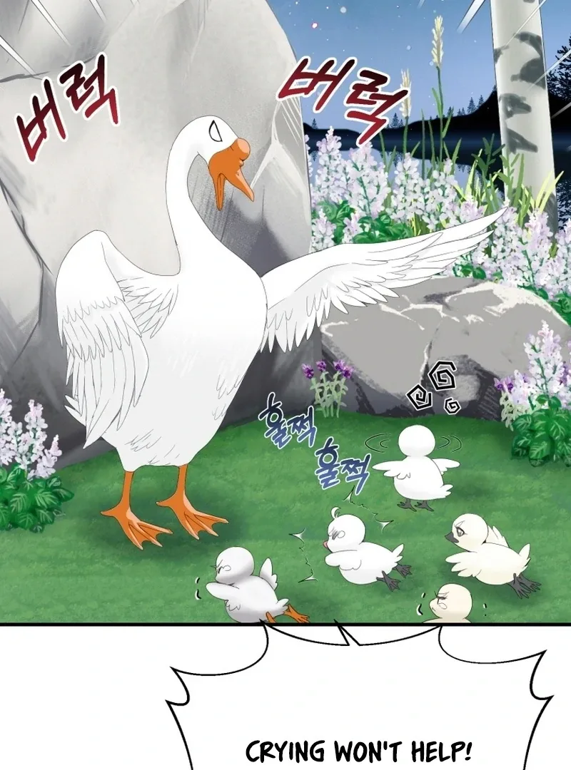 I Became The Black Swan Mother of The White Swan Princess Chapter 11 page 60