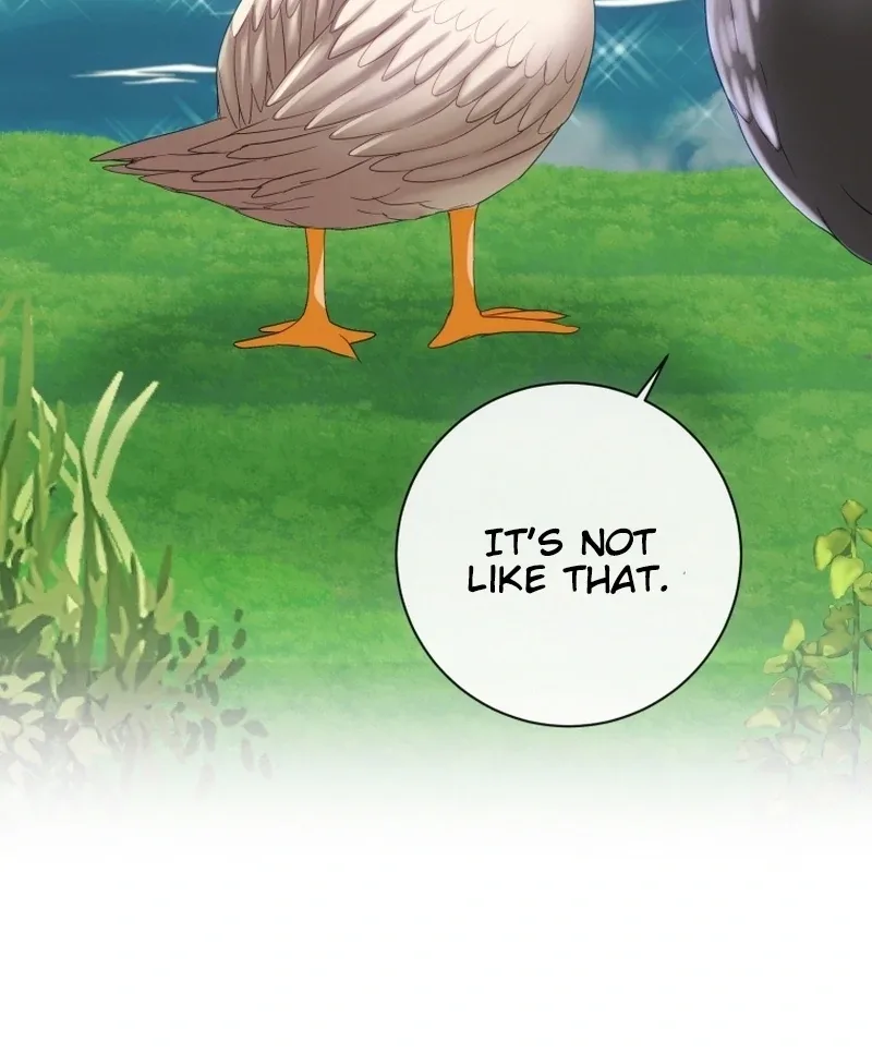 I Became The Black Swan Mother of The White Swan Princess Chapter 11 page 72