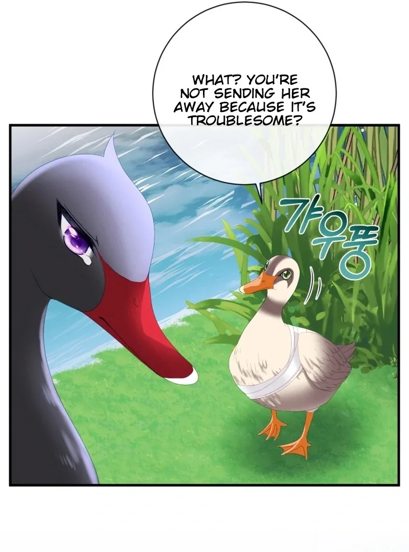 I Became The Black Swan Mother of The White Swan Princess Chapter 11 page 73