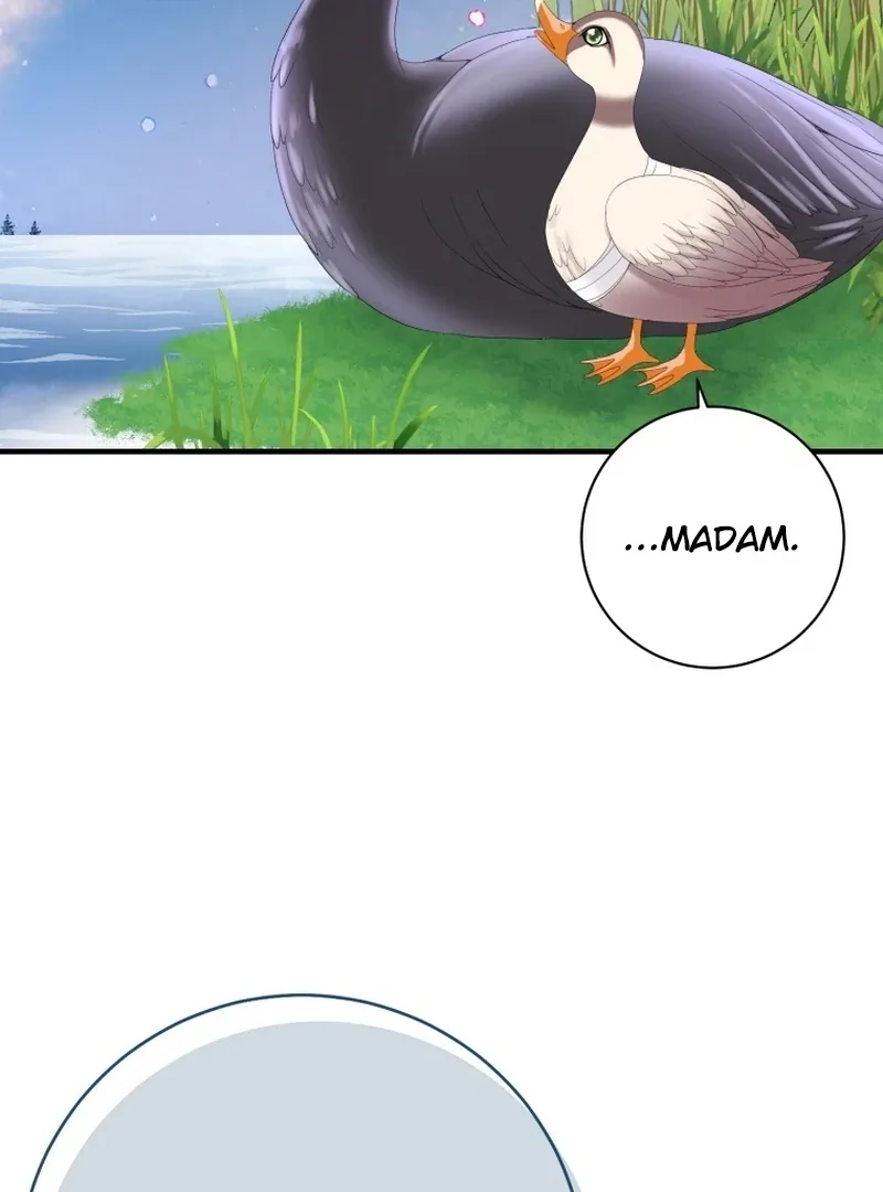 I Became The Black Swan Mother of The White Swan Princess Chapter 11 page 75