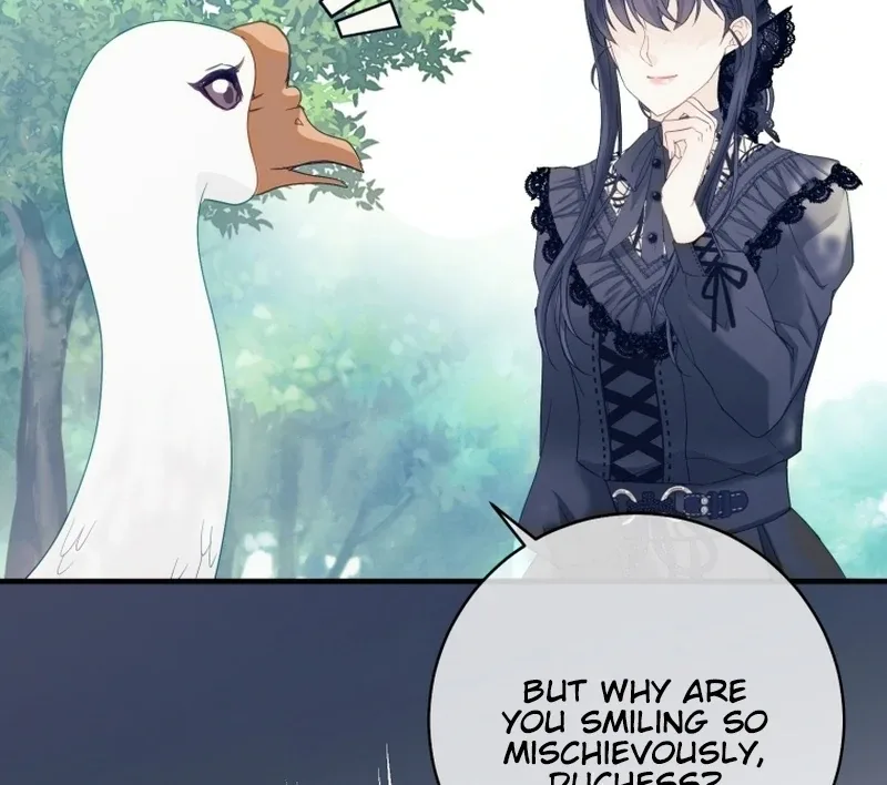 I Became The Black Swan Mother of The White Swan Princess Chapter 14 page 15