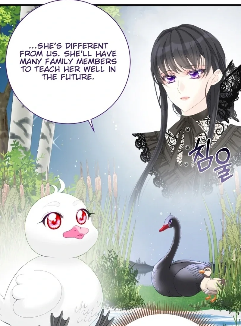 I Became The Black Swan Mother of The White Swan Princess Chapter 11 page 90