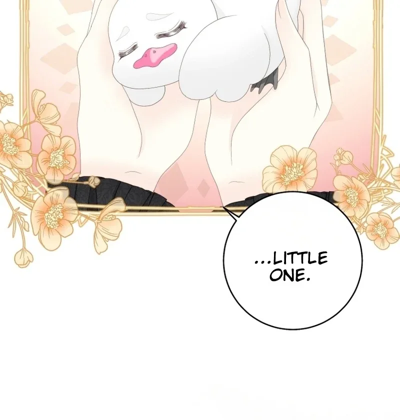 I Became The Black Swan Mother of The White Swan Princess Chapter 14 page 44