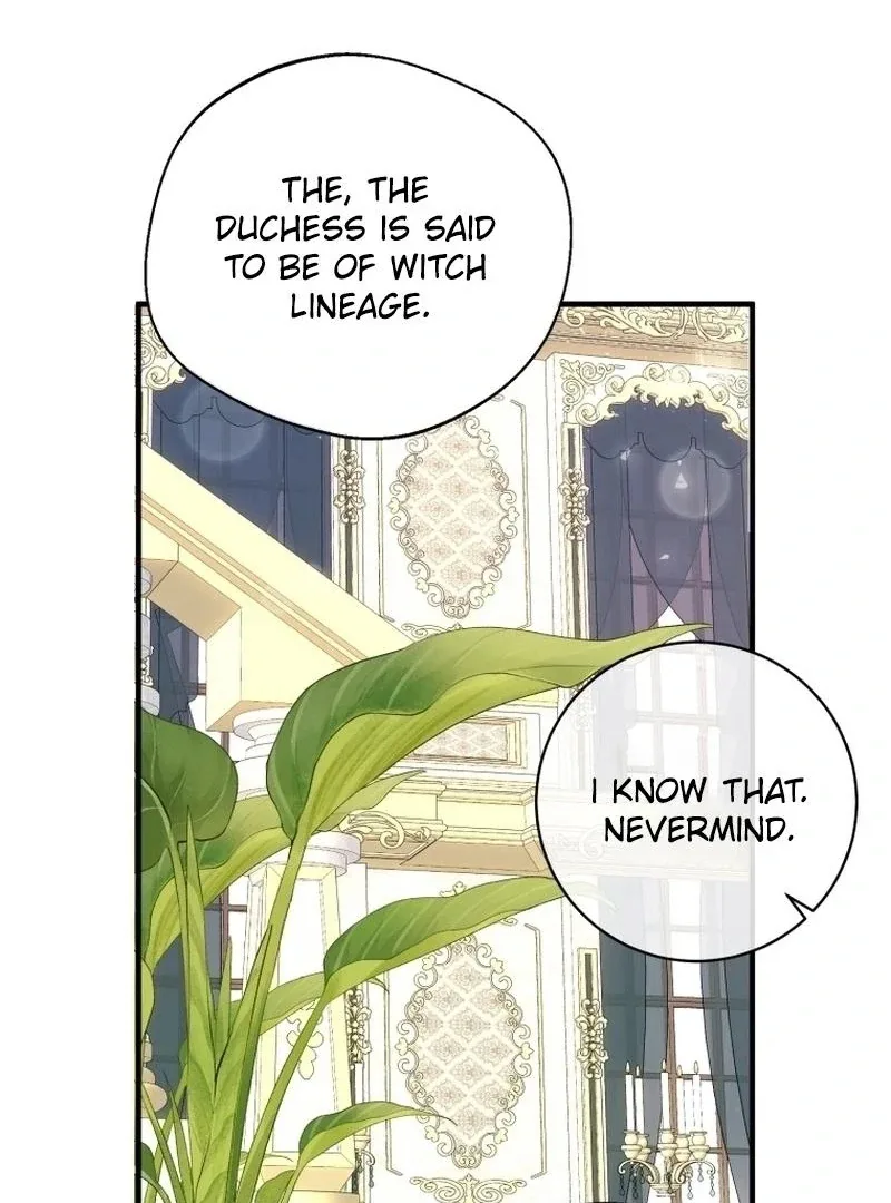 I Became The Black Swan Mother of The White Swan Princess Chapter 15 page 15