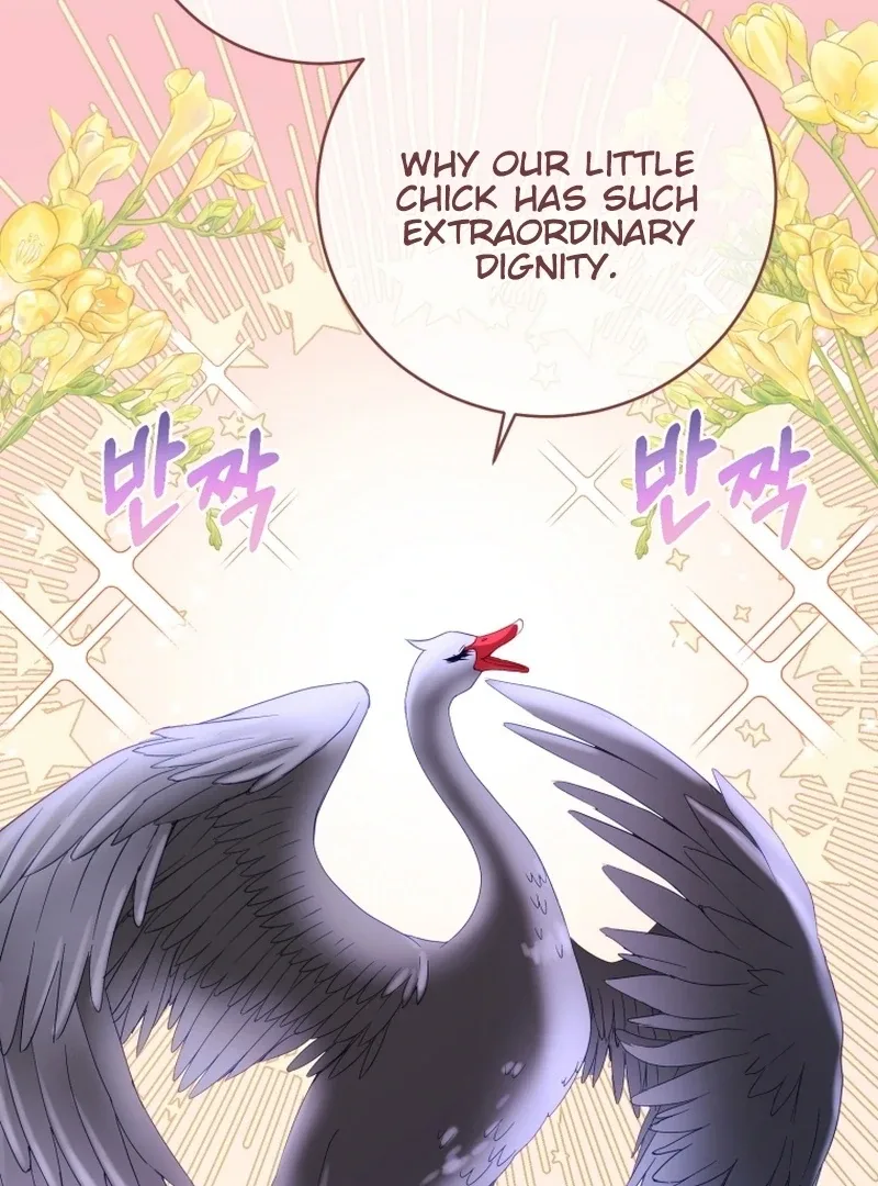 I Became The Black Swan Mother of The White Swan Princess Chapter 14 page 96