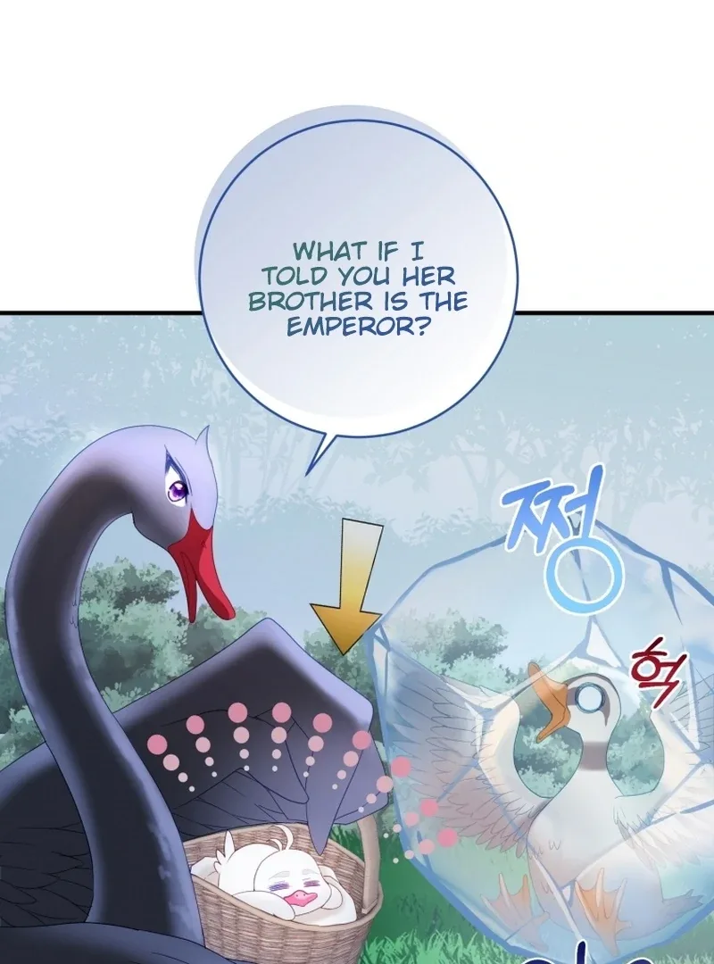 I Became The Black Swan Mother of The White Swan Princess Chapter 14 page 100