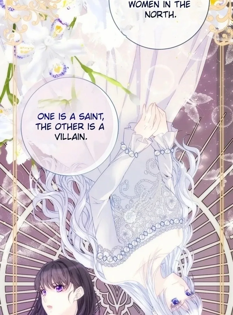 I Became The Black Swan Mother of The White Swan Princess Chapter 16 page 20