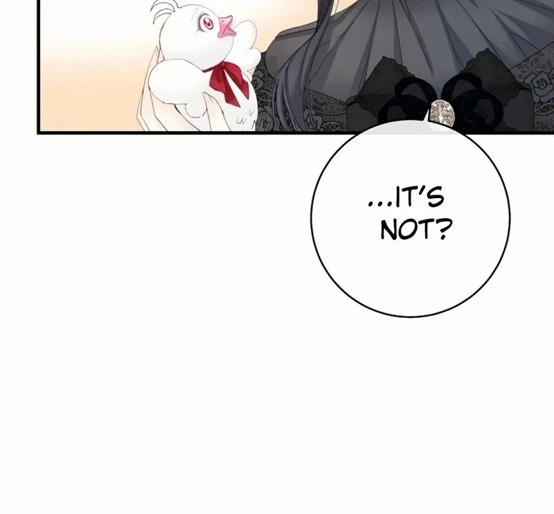 I Became The Black Swan Mother of The White Swan Princess Chapter 18 page 29