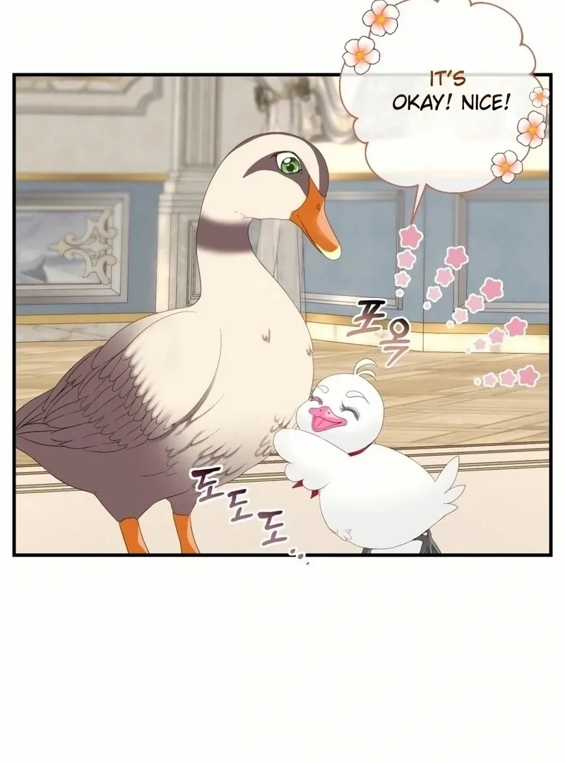 I Became The Black Swan Mother of The White Swan Princess Chapter 18 page 42