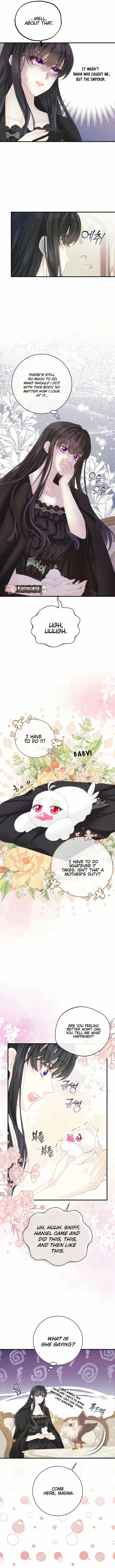 I Became The Black Swan Mother of The White Swan Princess Chapter 22 page 7