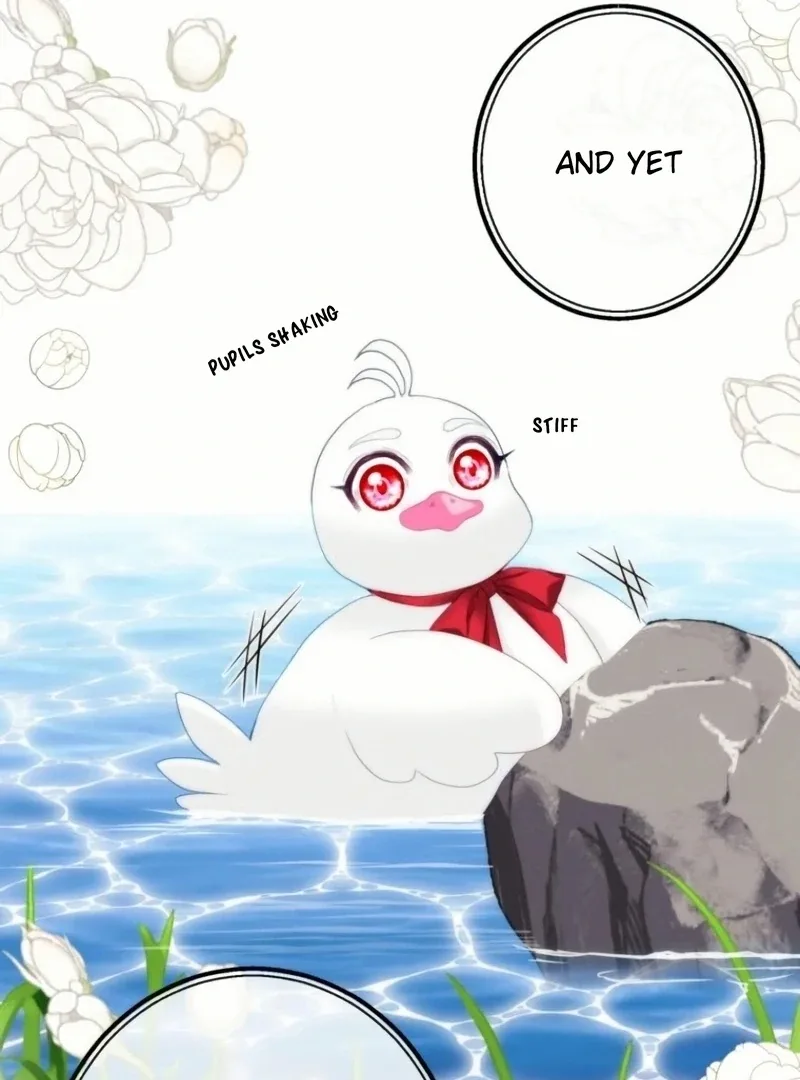 I Became The Black Swan Mother of The White Swan Princess Chapter 21 page 50