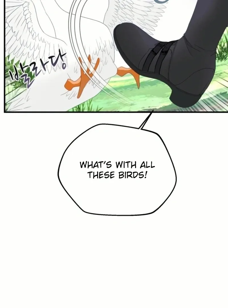 I Became The Black Swan Mother of The White Swan Princess Chapter 21 page 91